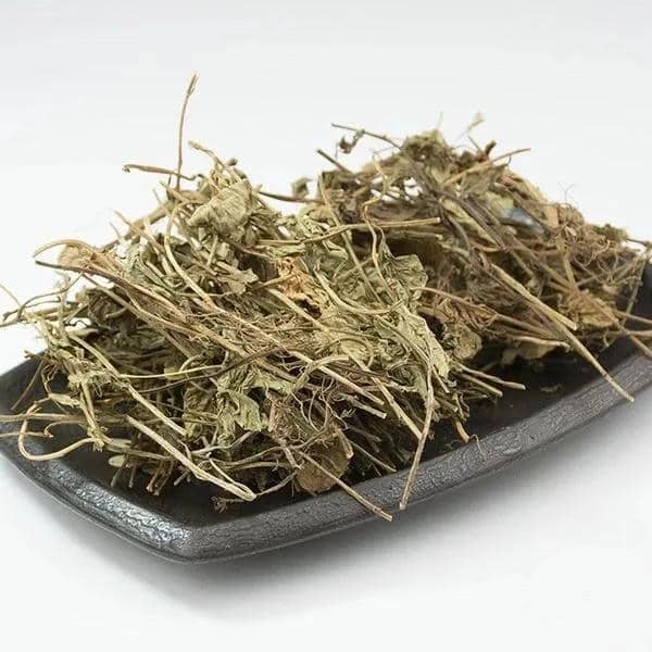 木瓜海棠的繁殖方法：专业园丁的详尽指南